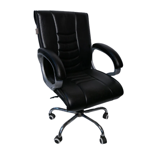 Delta Ergonomic Boss Office Chair